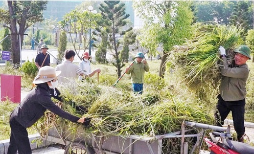 m.79king 32: SỐNG XANH HƯỞNG ỨNG THÁNG HÀNH ĐỘNG VÌ MÔI TRƯỜNG 2026